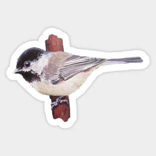 Chickadee in the Cedars bird painting (no background) Sticker